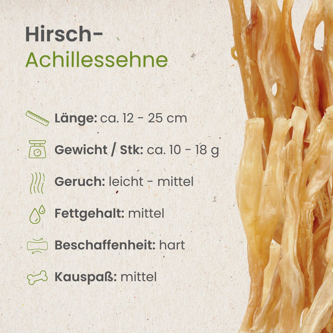 Hirsch-Achillessehne