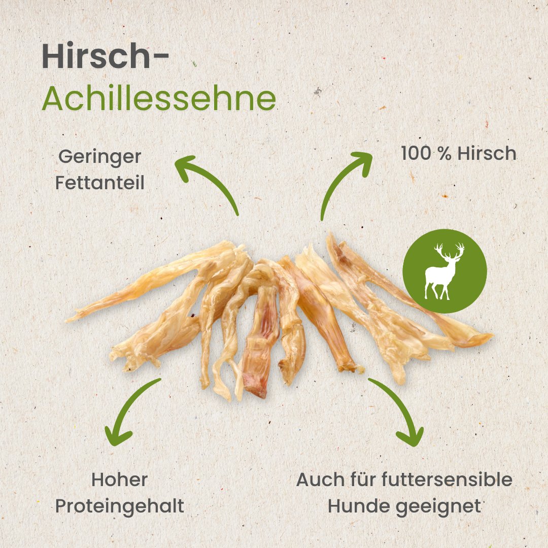 Hirsch-Achillessehne