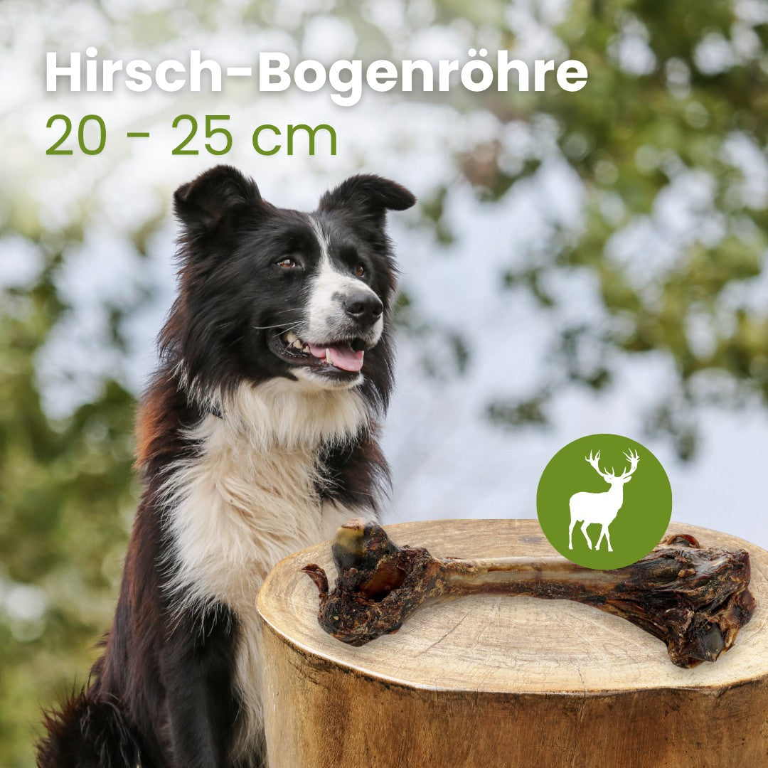 Hirsch-Bogenröhre 20-25cm
