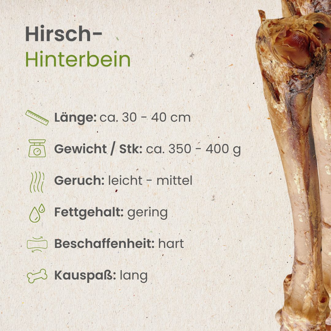 Hirsch-Hinterbein
