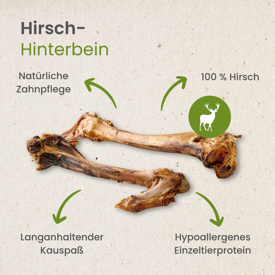 Hirsch-Hinterbein