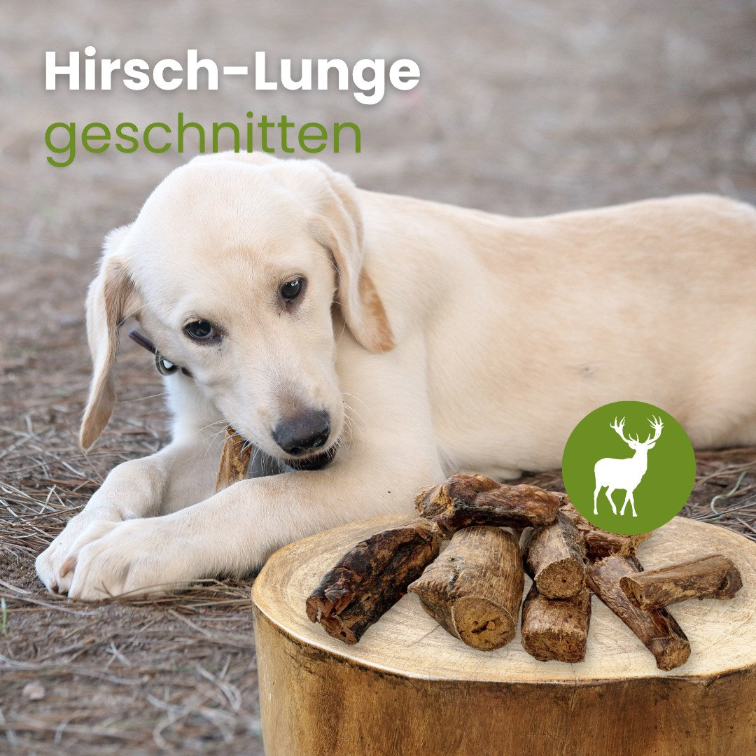 Hirsch-Lunge, geschnitten