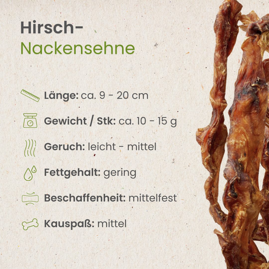 Hirsch-Nackensehne