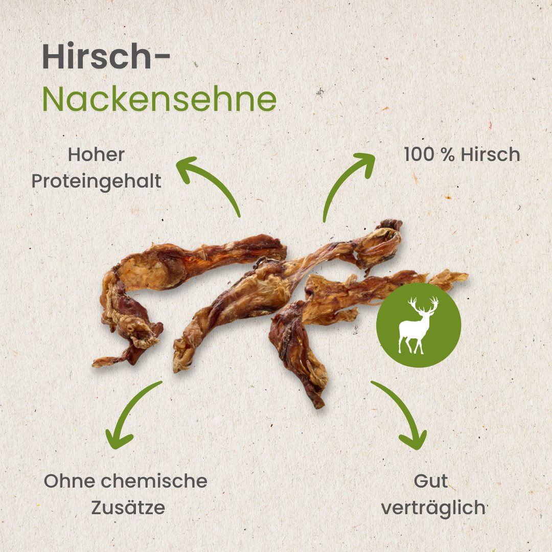 Hirsch-Nackensehne