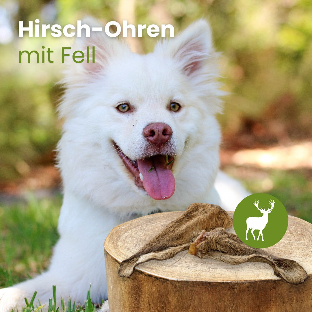 Hirsch-Ohren mit Fell