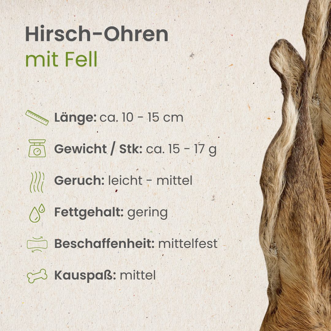 Hirsch-Ohren mit Fell