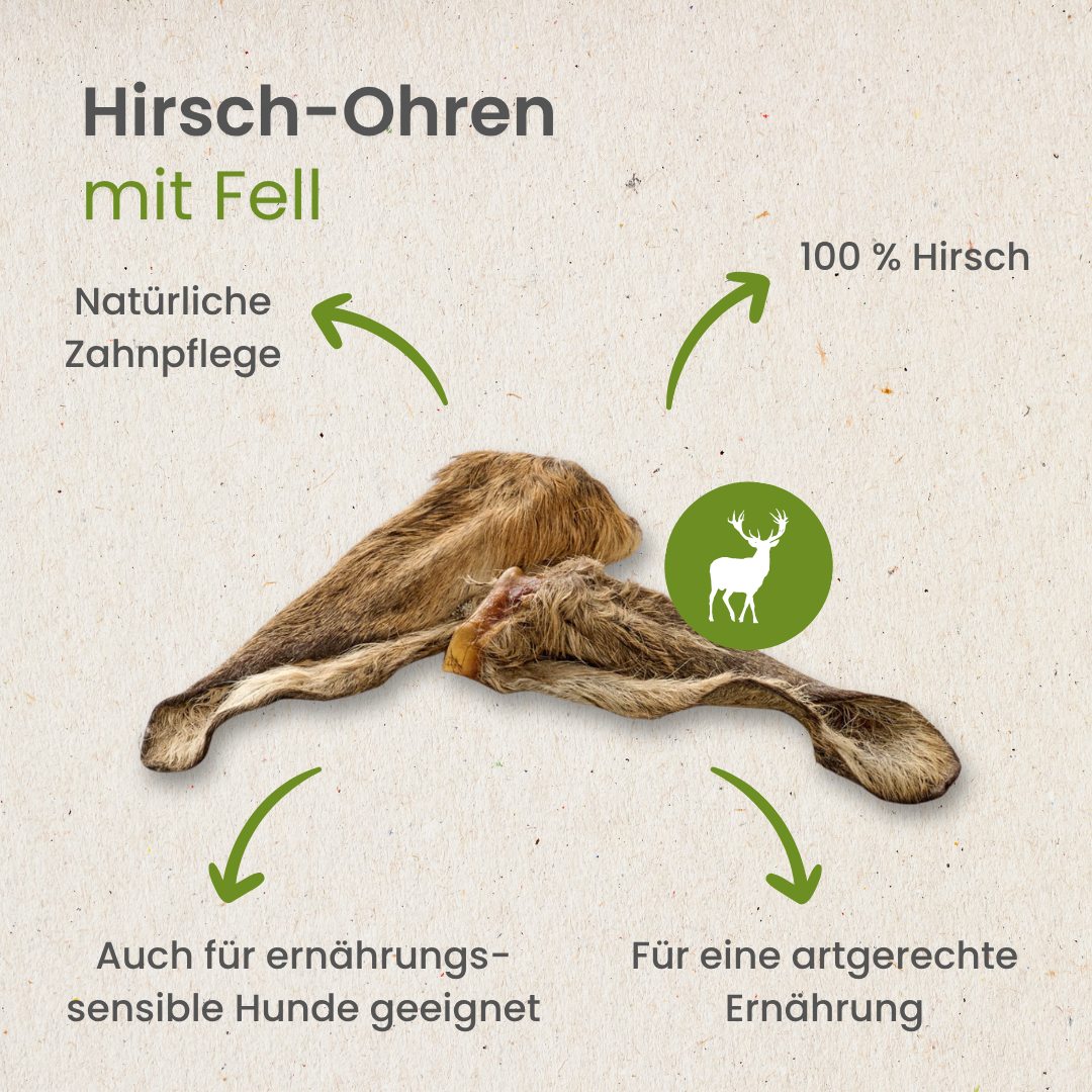 Hirsch-Ohren mit Fell