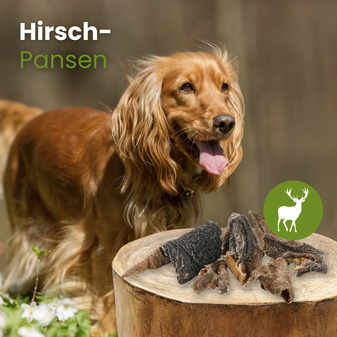 Hirsch-Pansen
