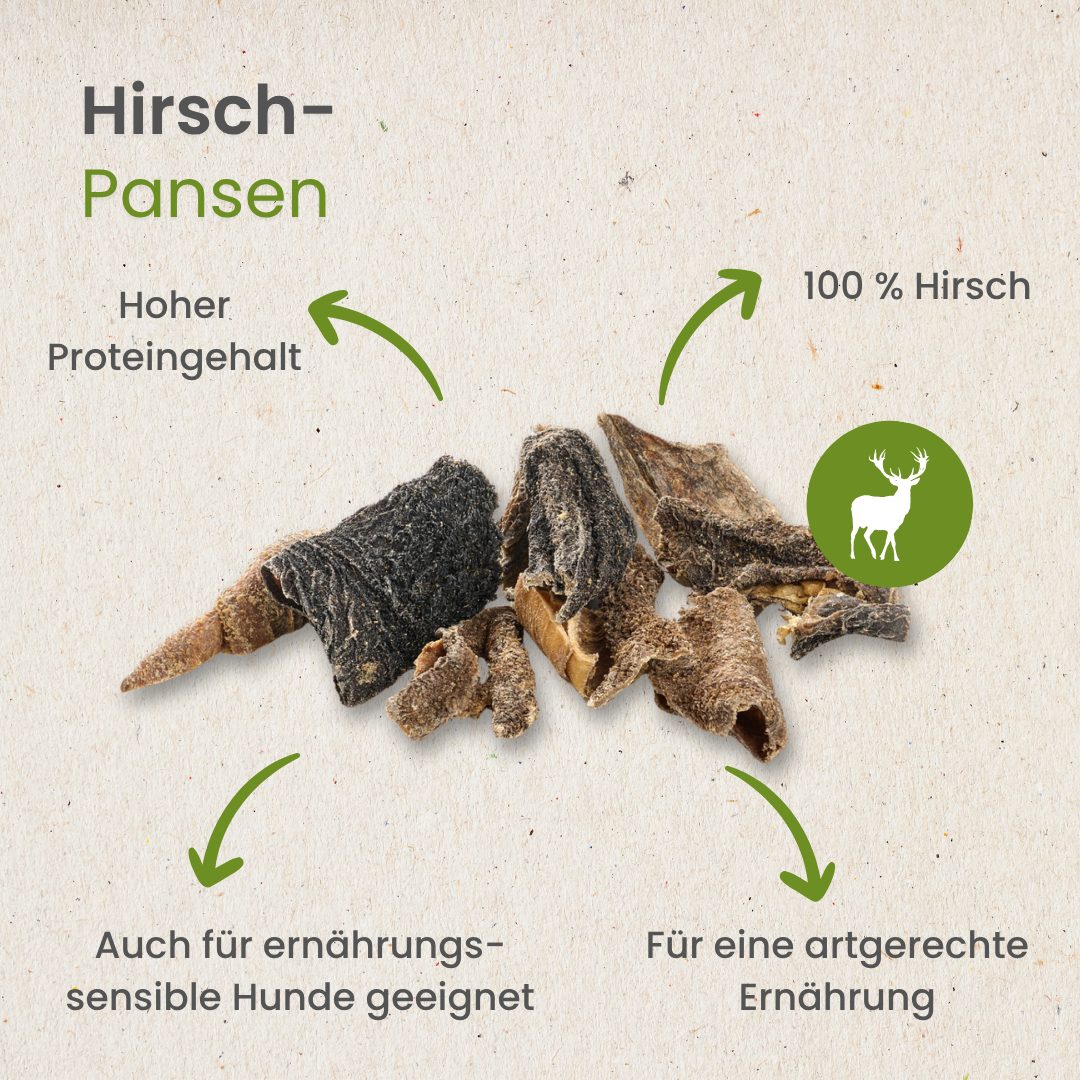 Hirsch-Pansen