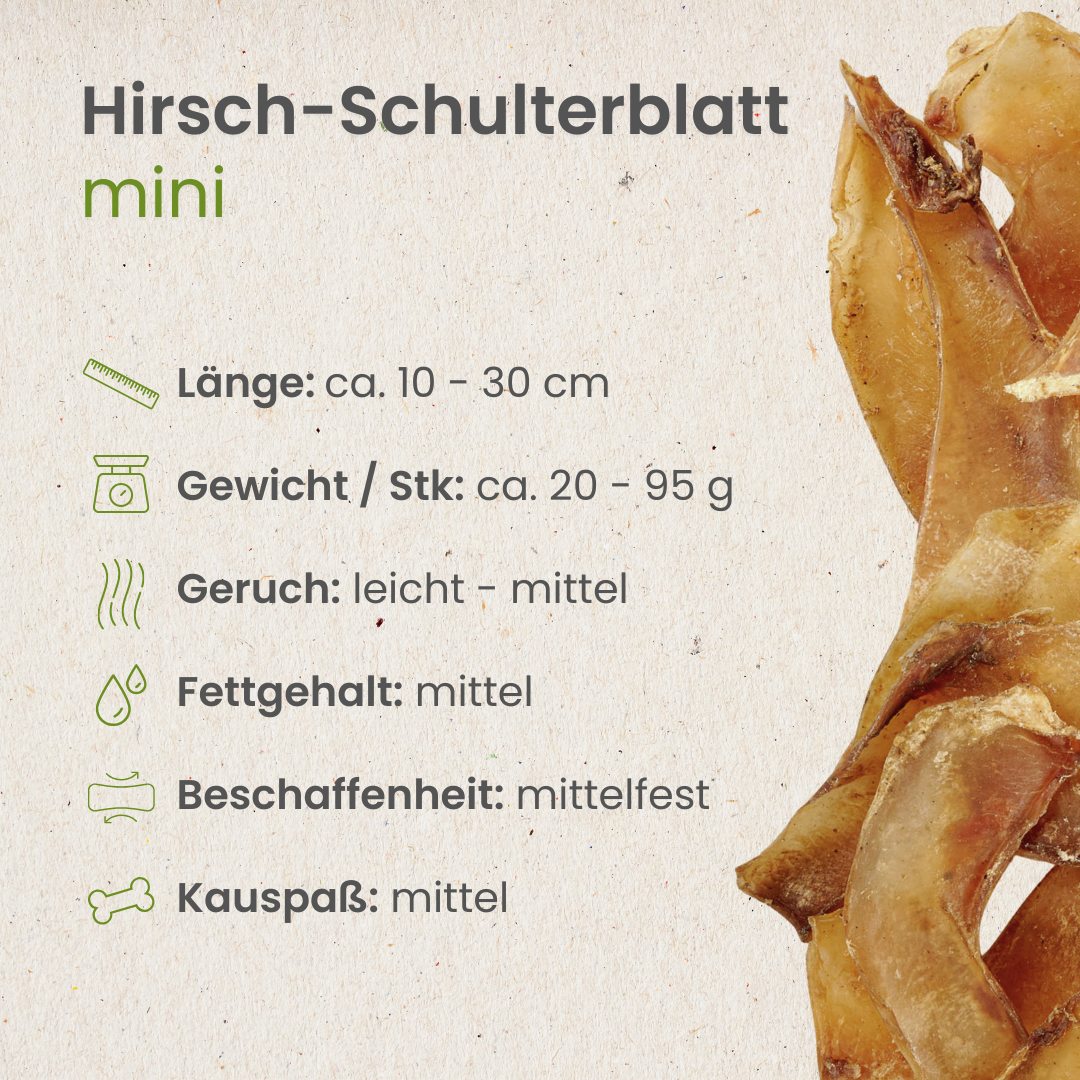 Hirsch-Schulterblatt Mini