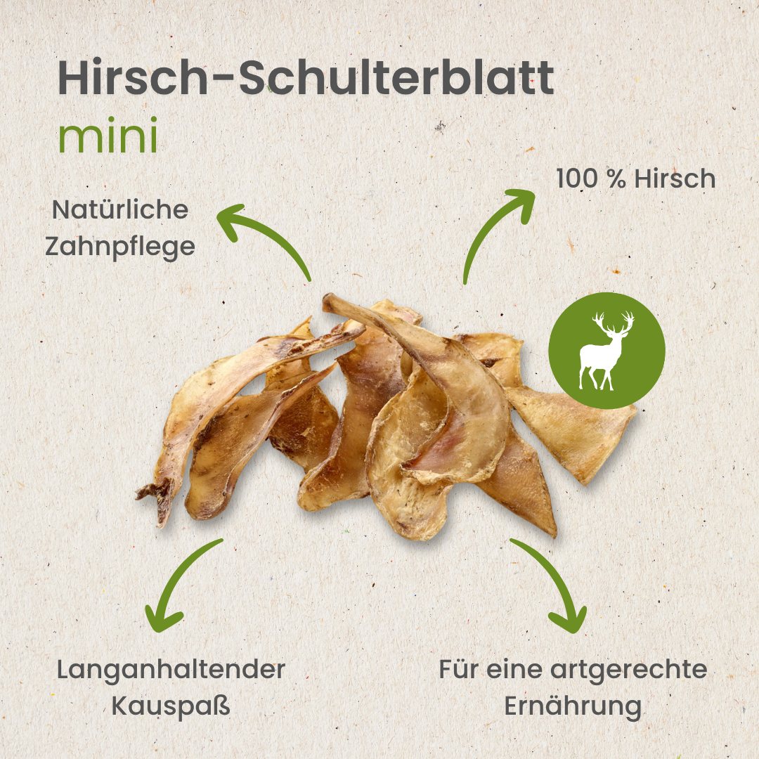 Hirsch-Schulterblatt Mini