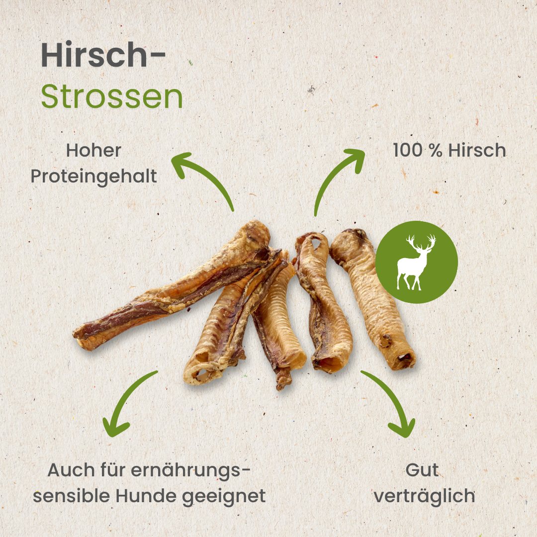 Hirsch-Strossen