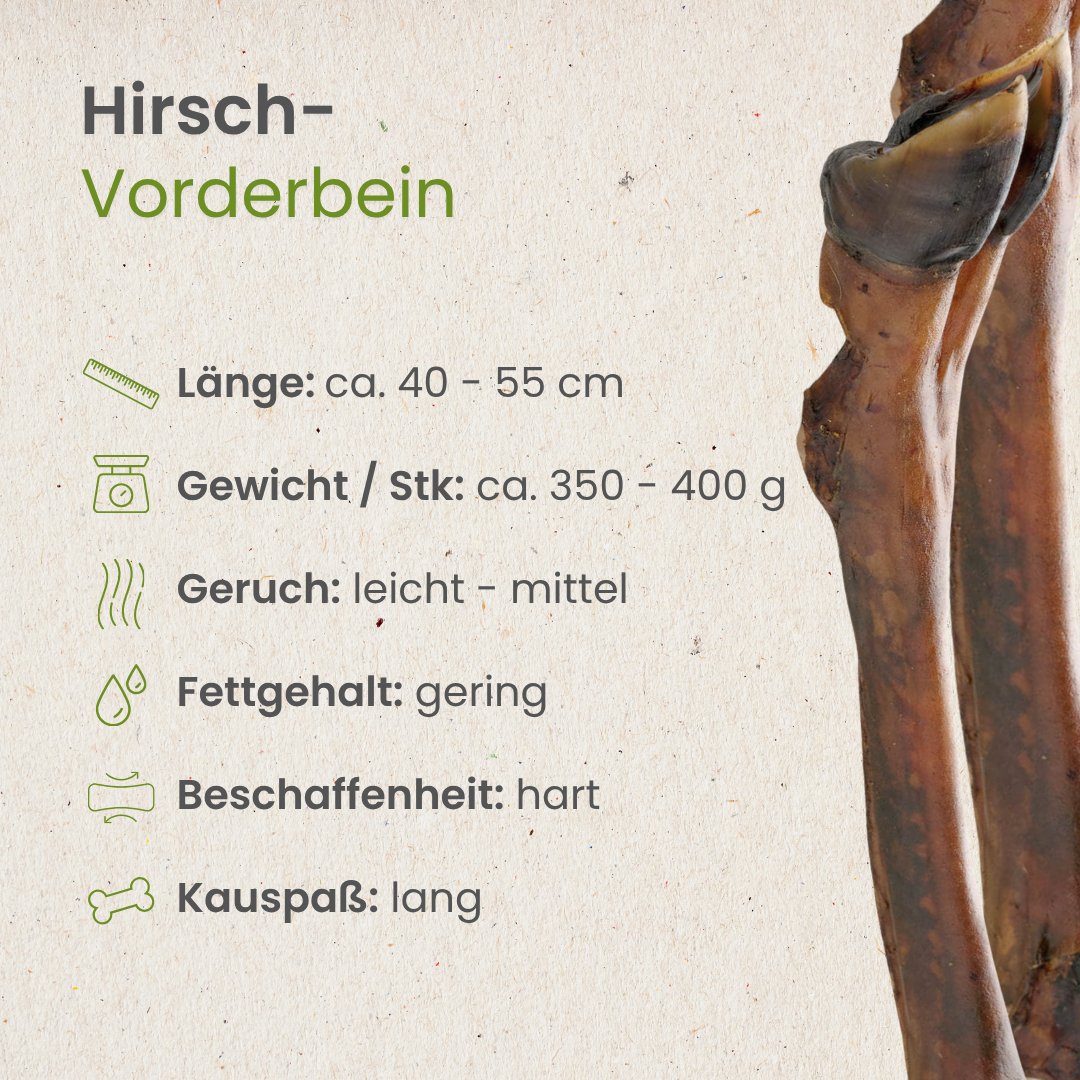 Hirsch-Vorderbein