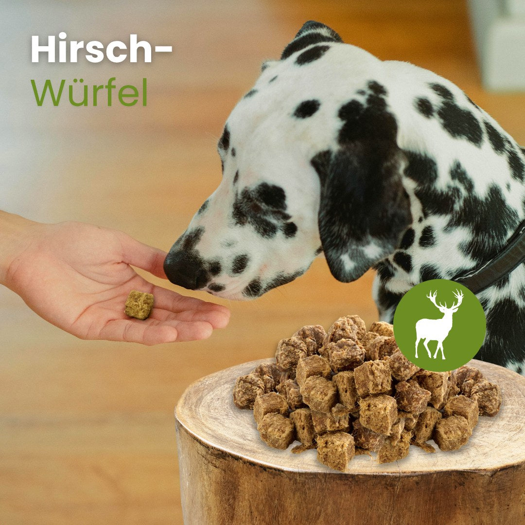 Hirsch-Würfel