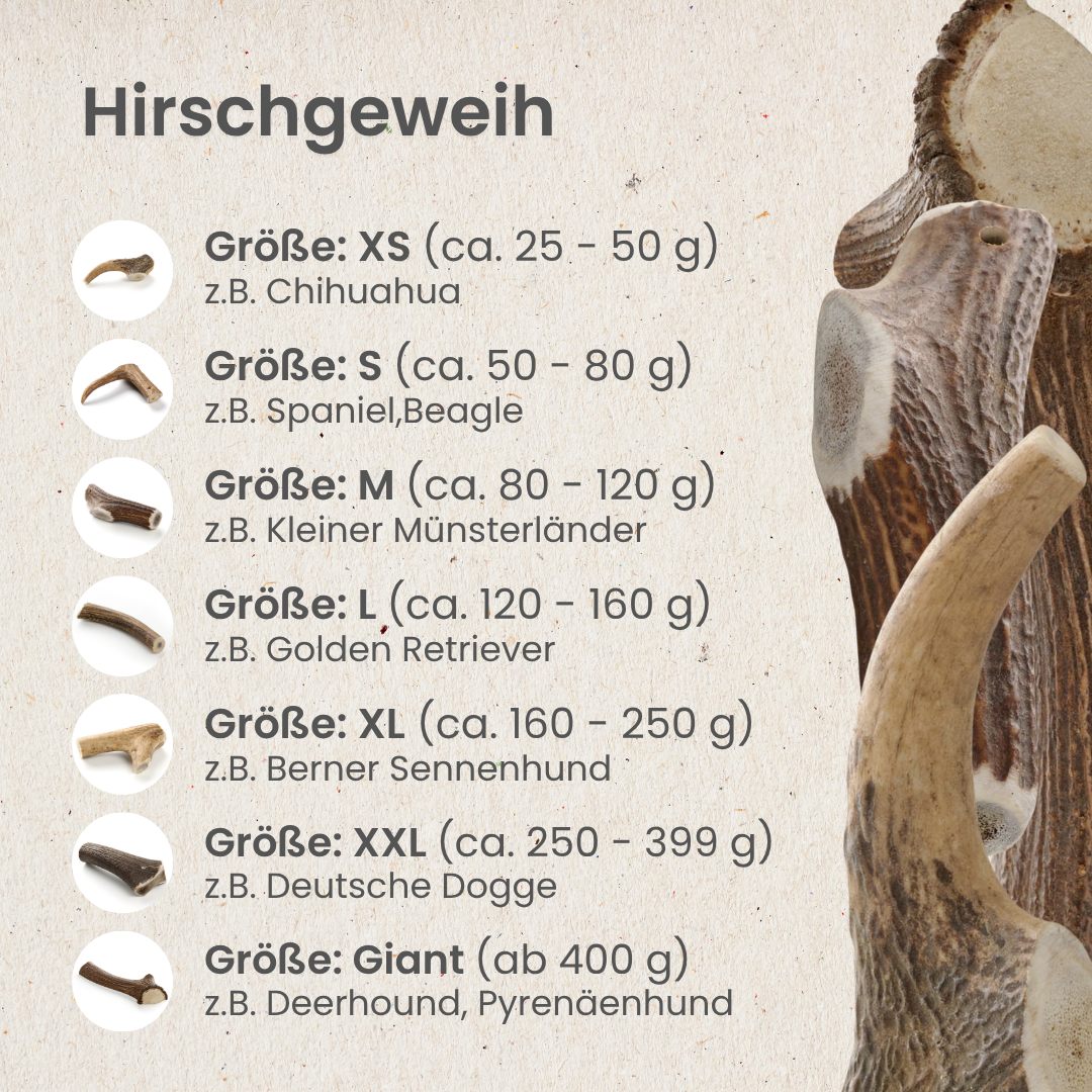 Hirschgeweih