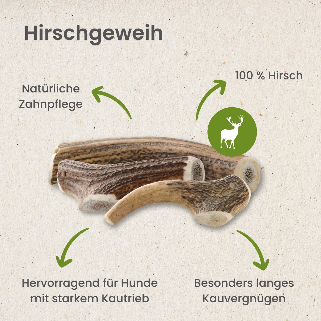 Hirschgeweih