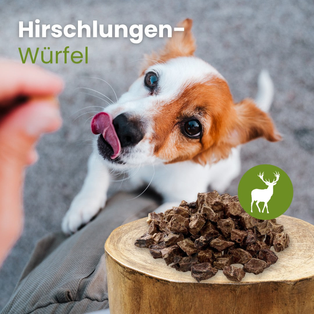 Hirsch-Lungen-Würfel