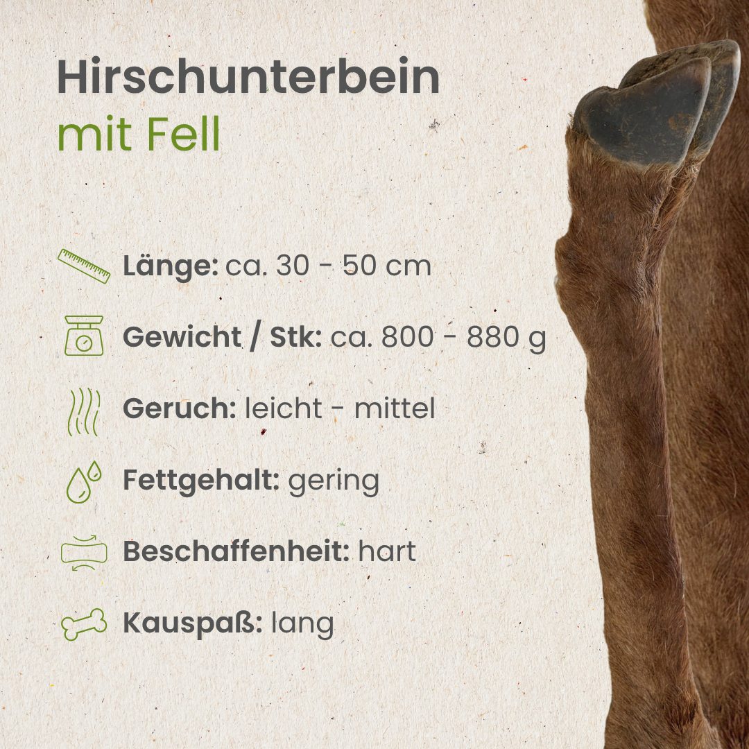 Hirsch Unterbein mit Fell