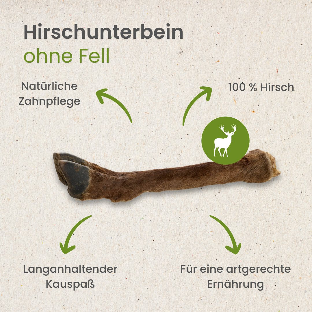 Hirsch Unterbein mit Fell