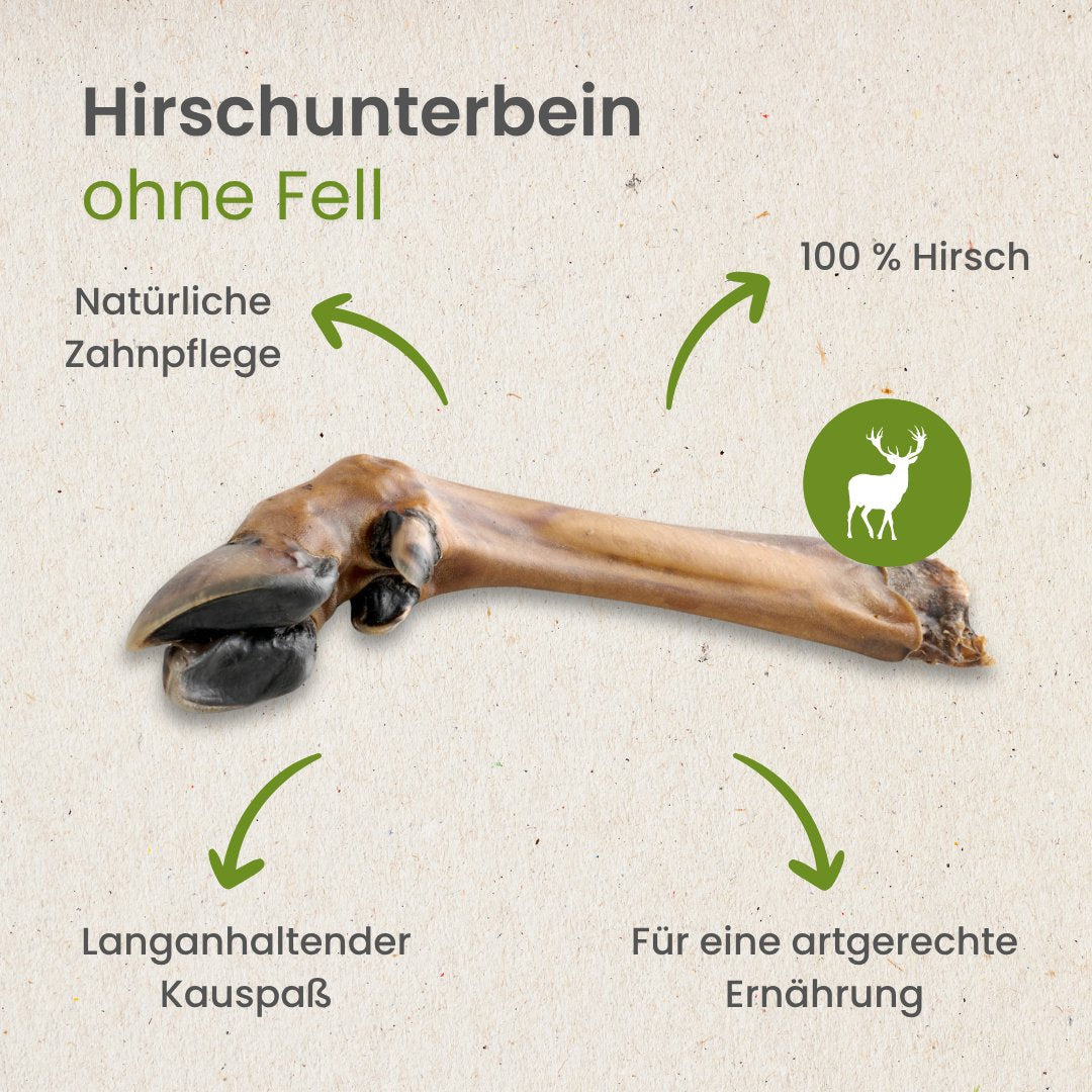 Hirsch Unterbein ohne Fell