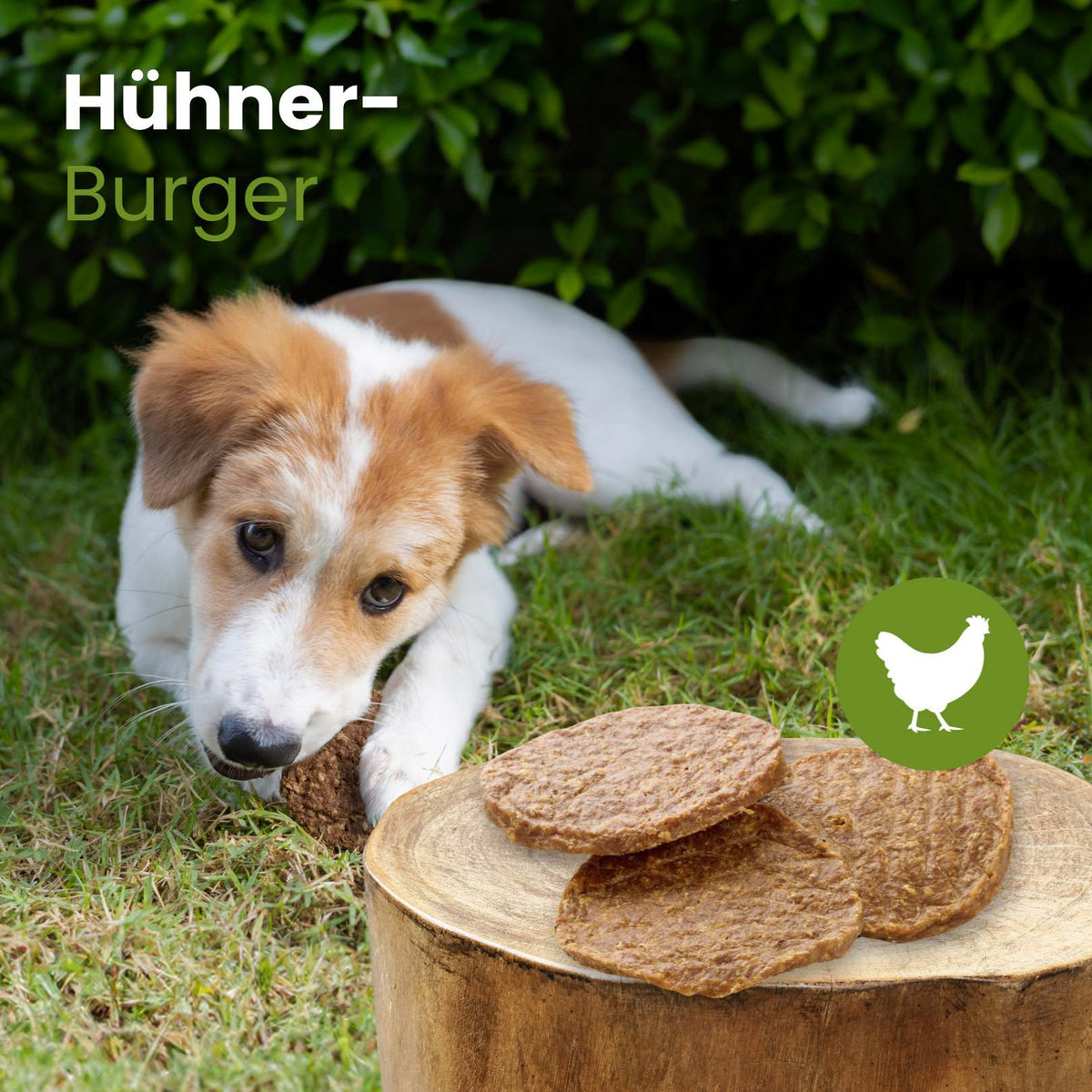 Hühner-Burger