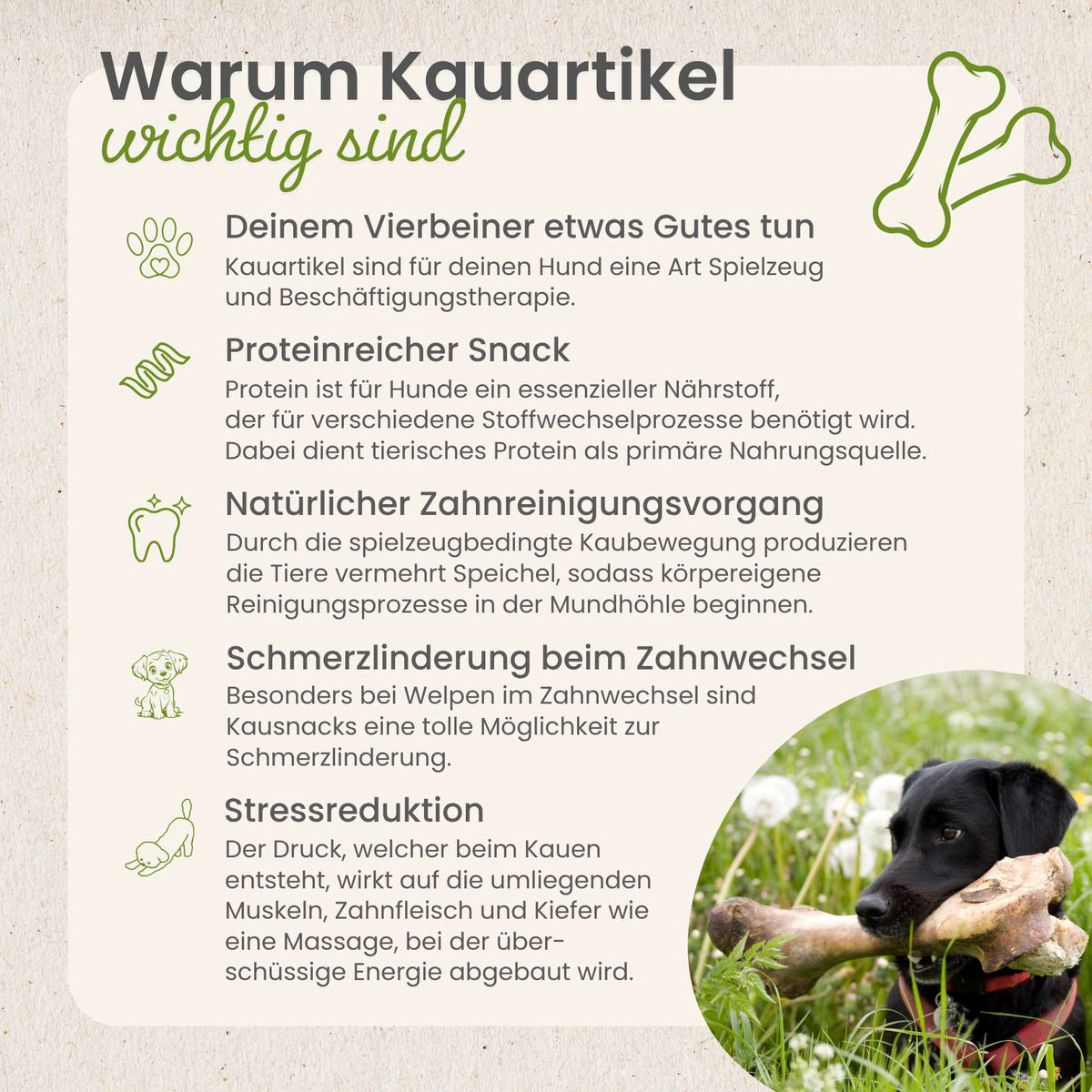 Hühner-Knusperscheibe