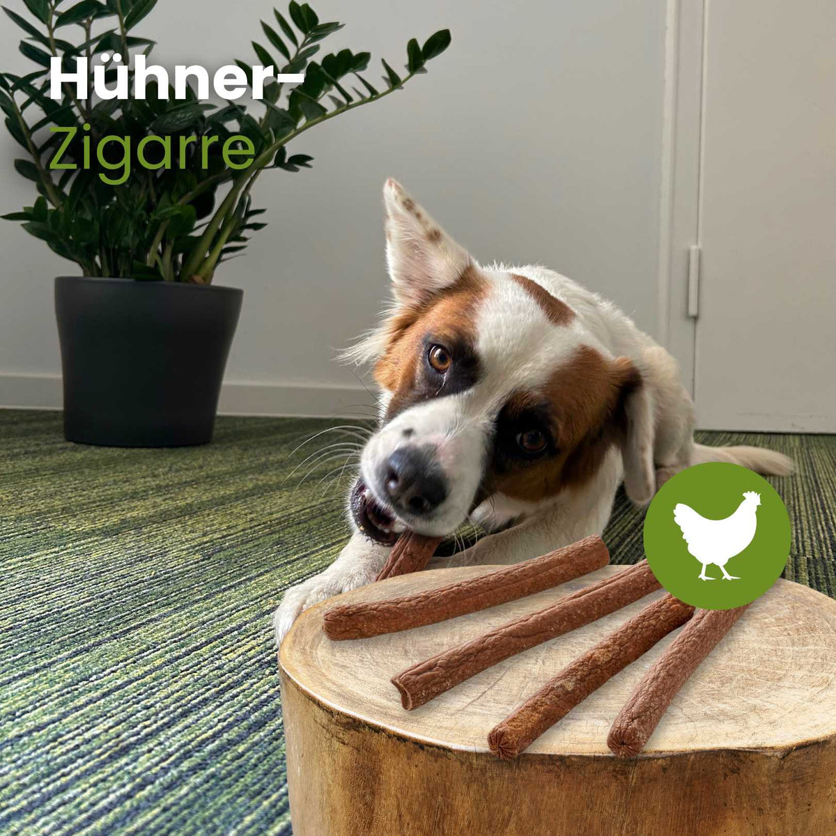 Hühner-Zigarre