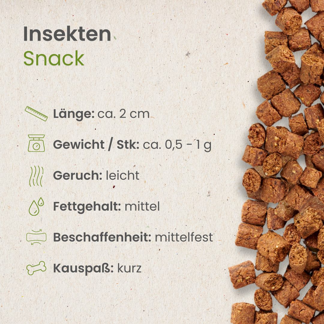 Insekten Snack