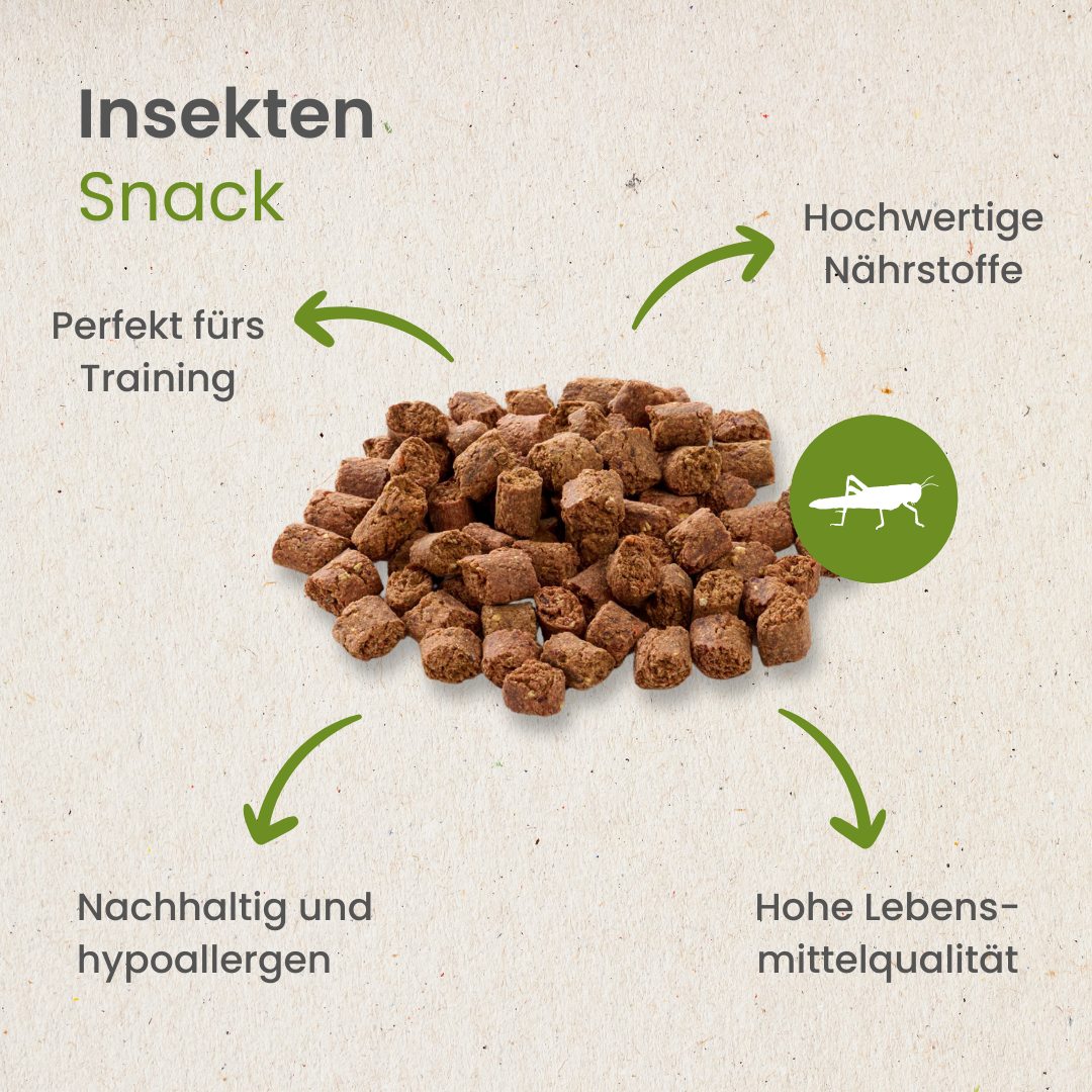 Insekten Snack