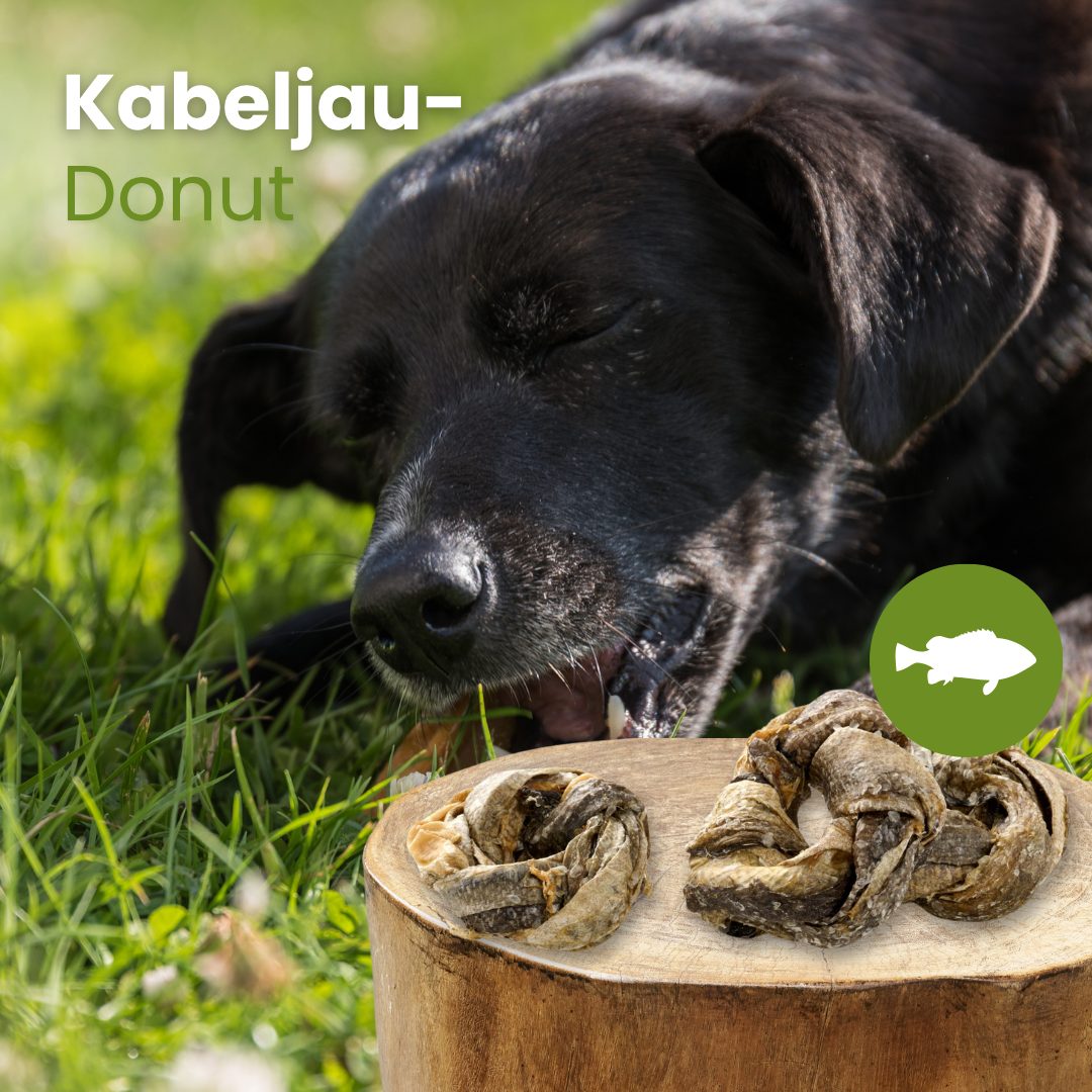 Kabeljau-Donut