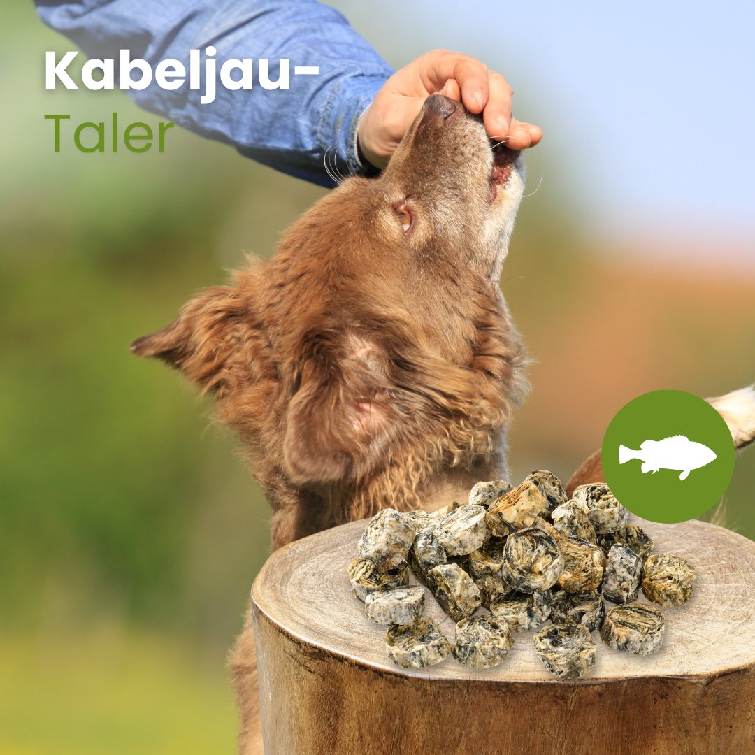 Kabeljau-Taler