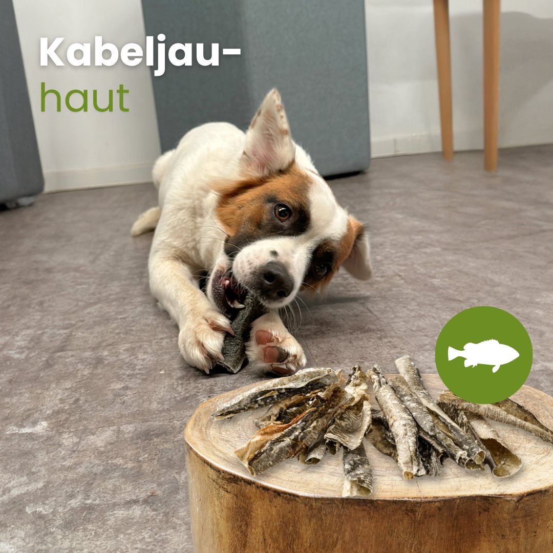 Kabeljau-Haut, geschnitten