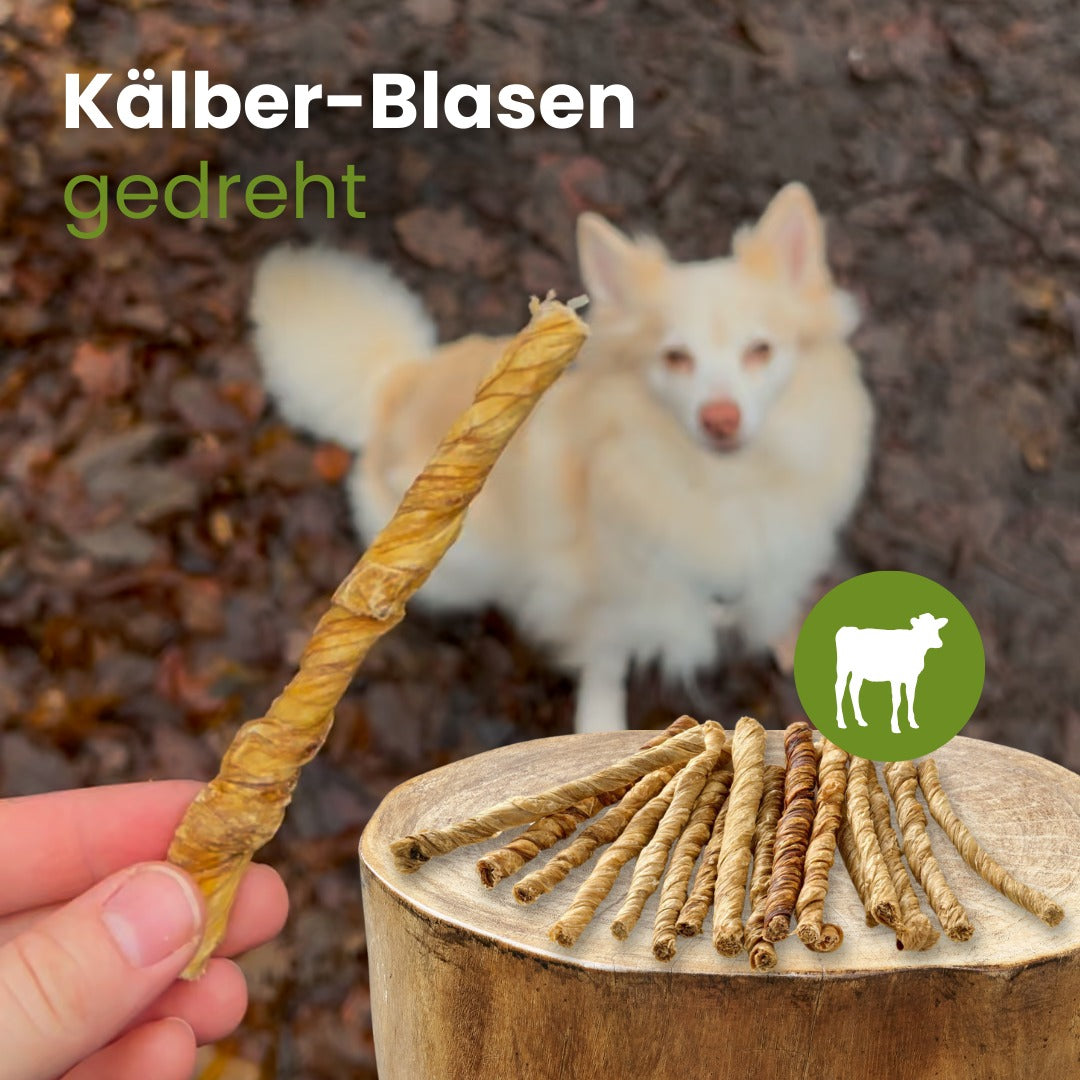 Kälber-Blasen, gedreht