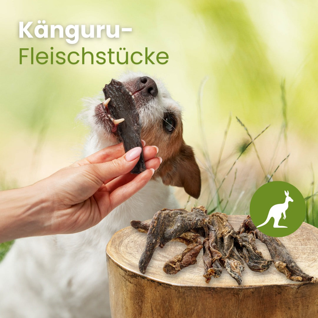Känguru-Fleischstücke