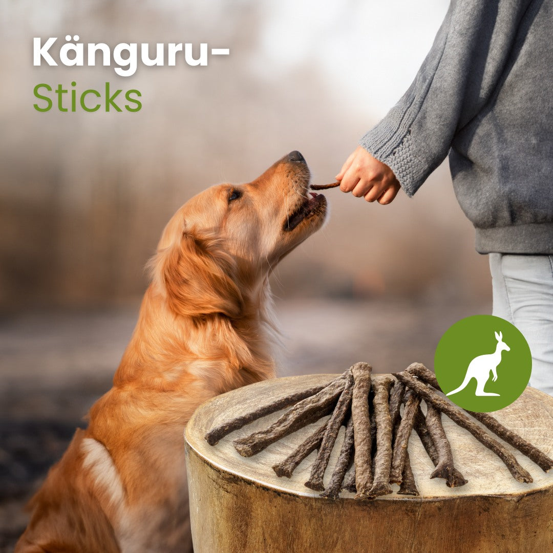 Känguru-Sticks