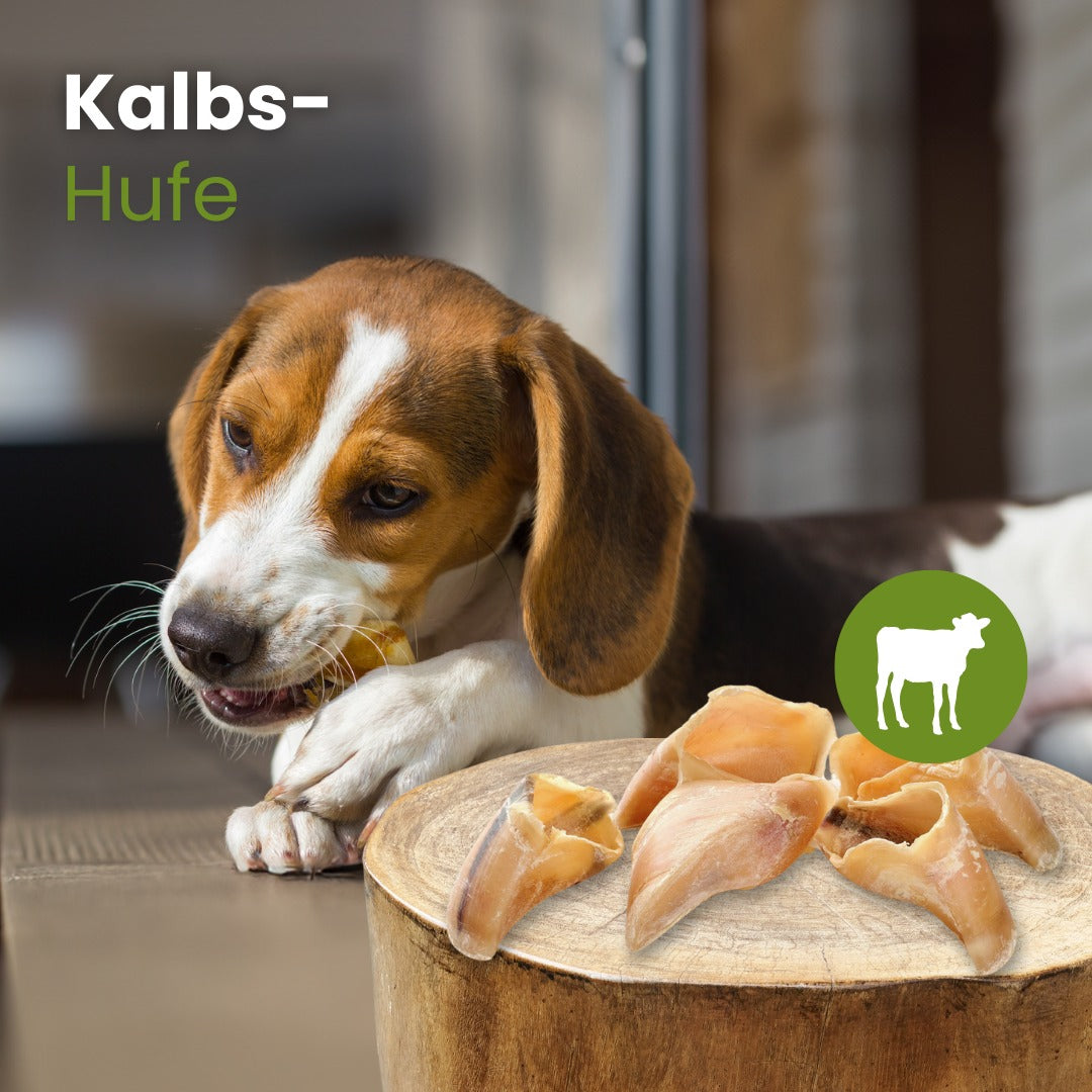 Kalbs-Hufe