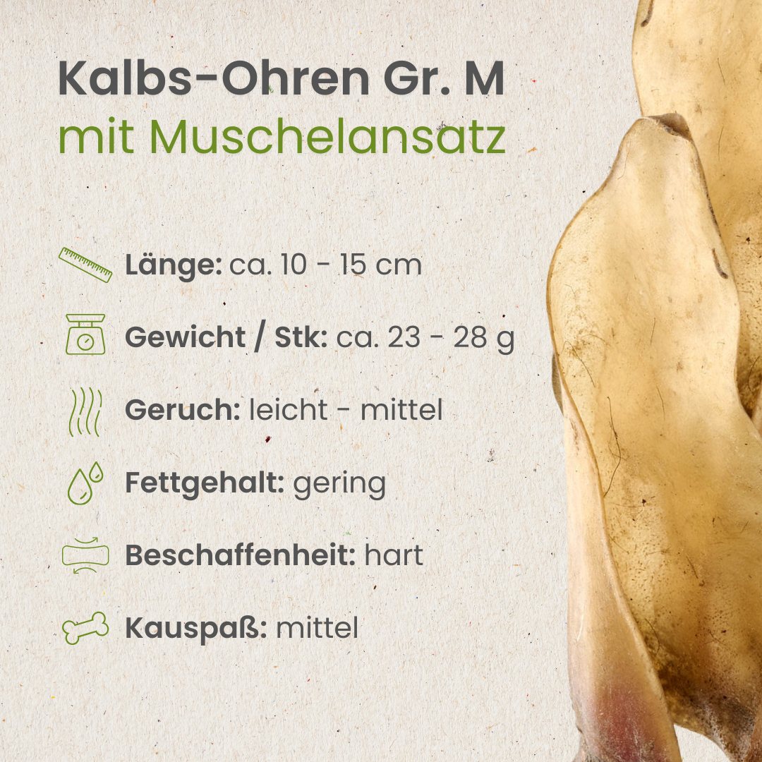 Kalbs-Ohren Gr. M mit Muschelansatz