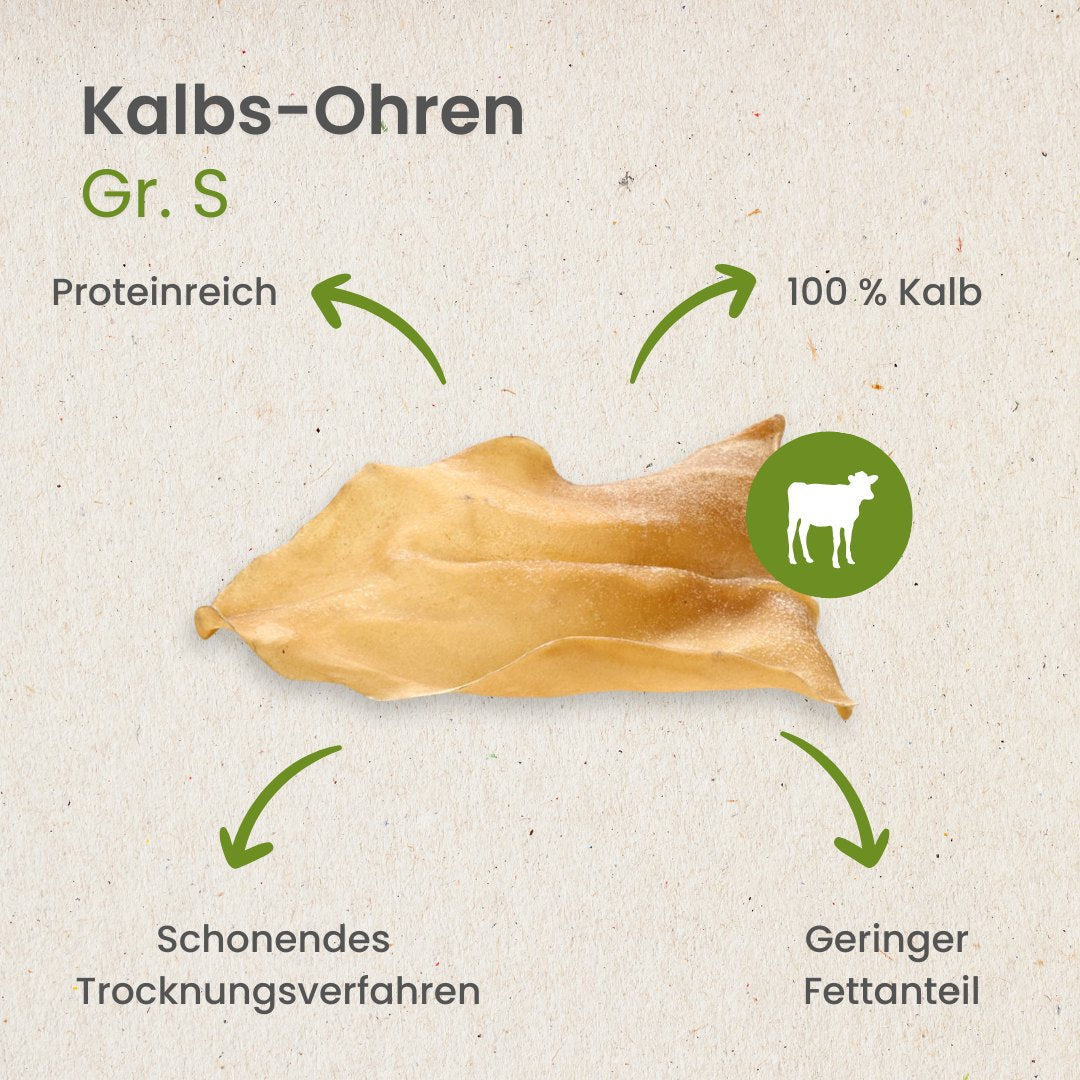 Kalbs-Ohren Gr. S