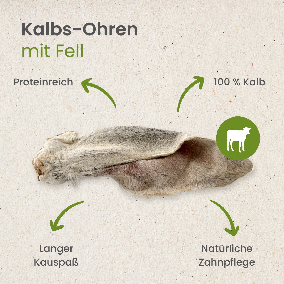 Kalbs-Ohren mit Fell