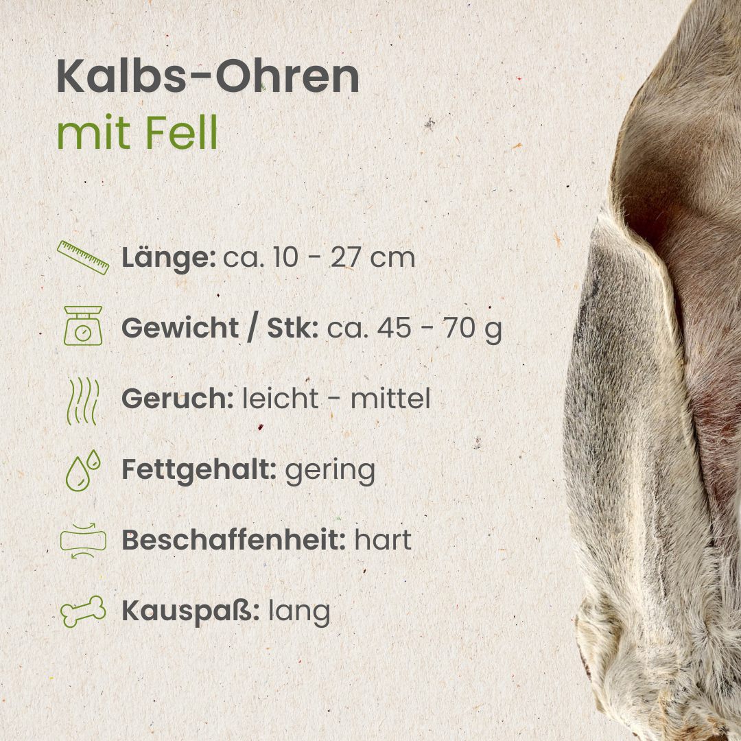 Kalbs-Ohren mit Fell