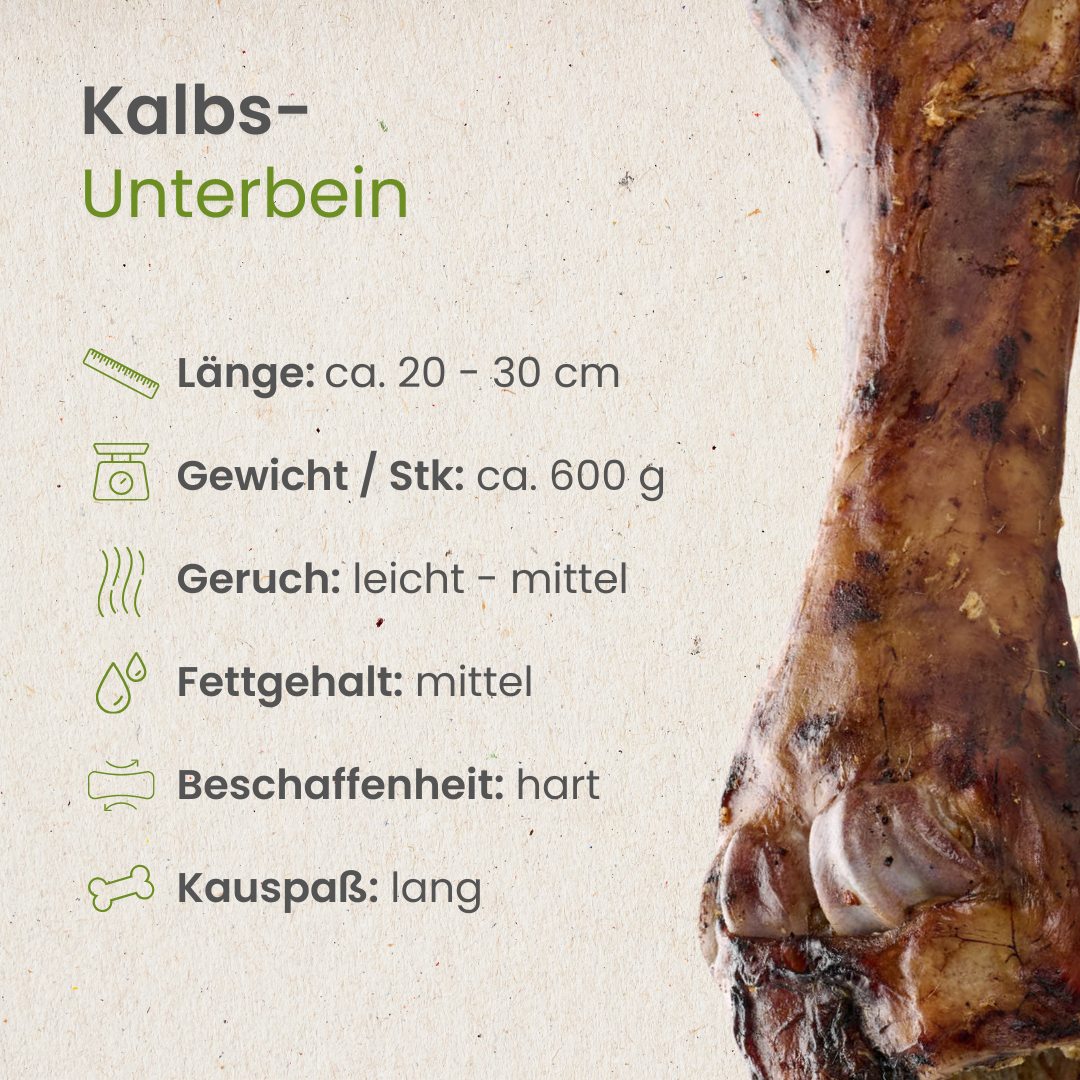 Kalbs-Unterbein