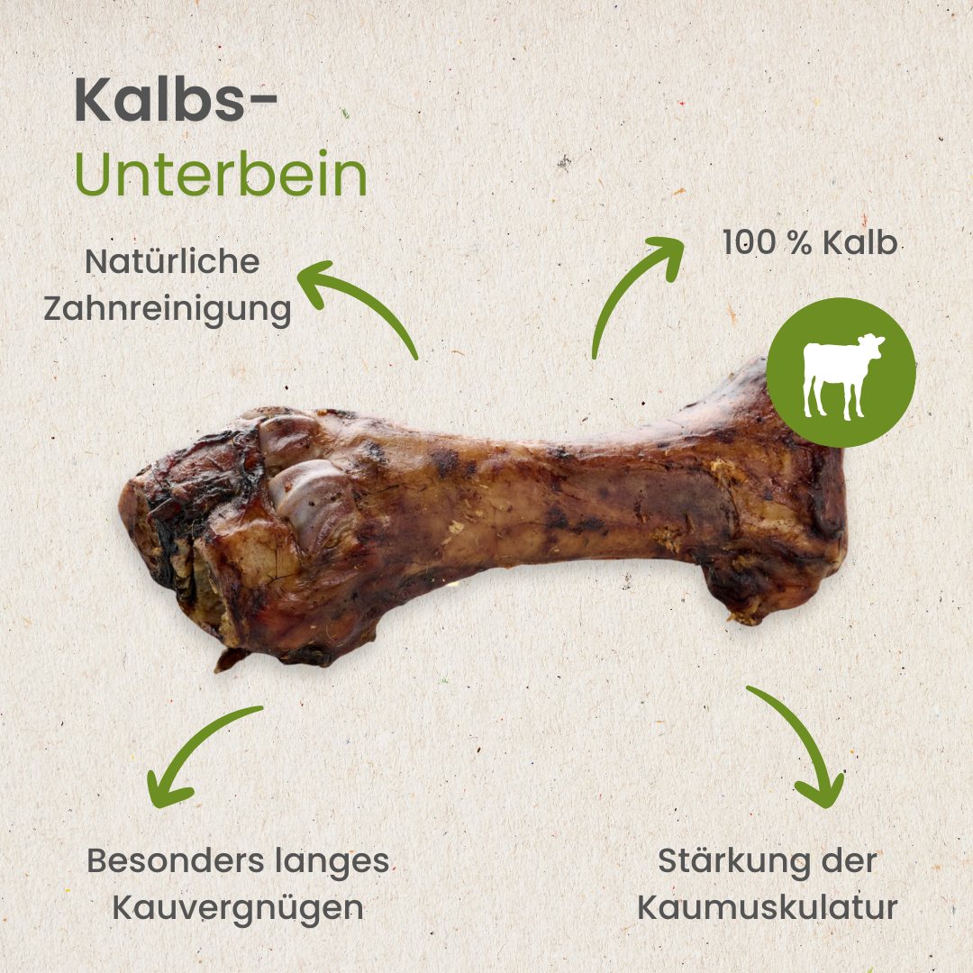 Kalbs-Unterbein