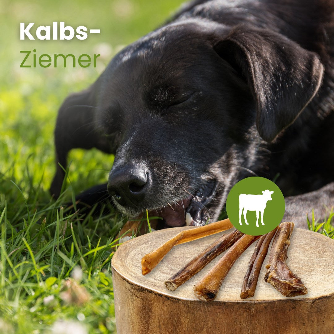 Kalbs-Ziemer, 12cm