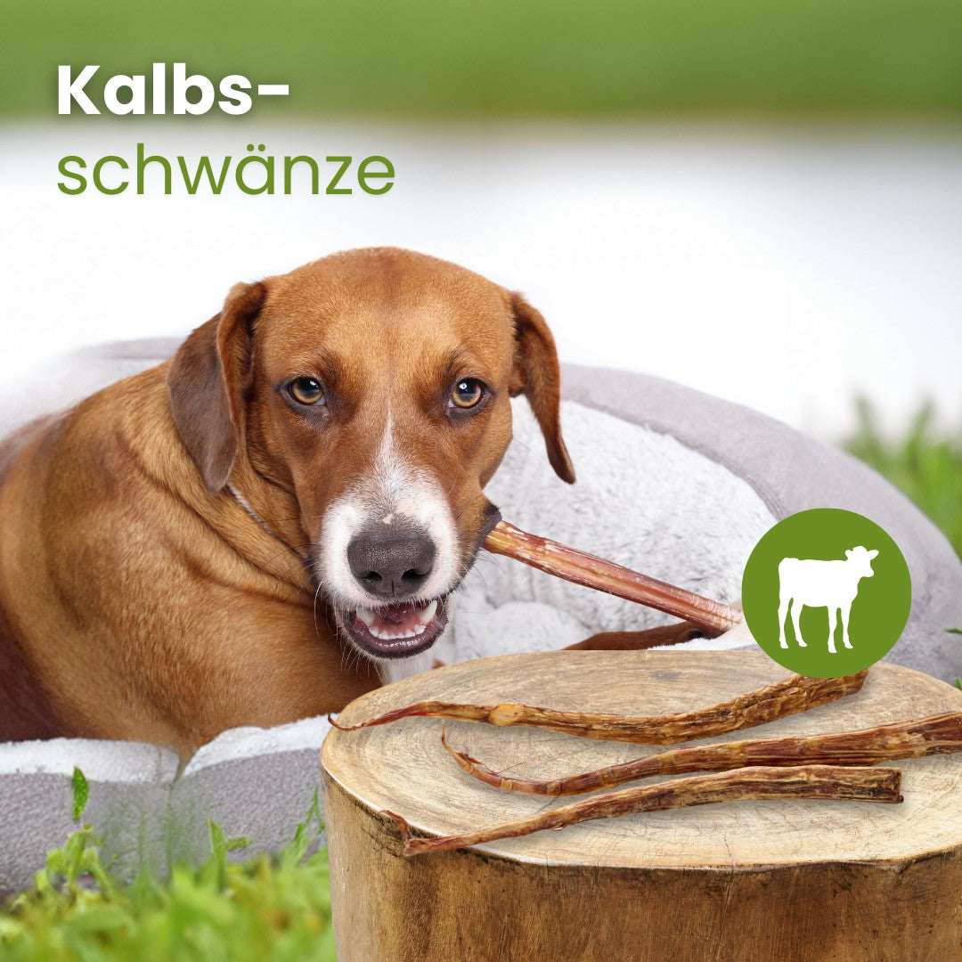 Kalbs-Schwänze