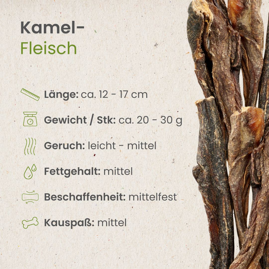 Kamel-Fleisch