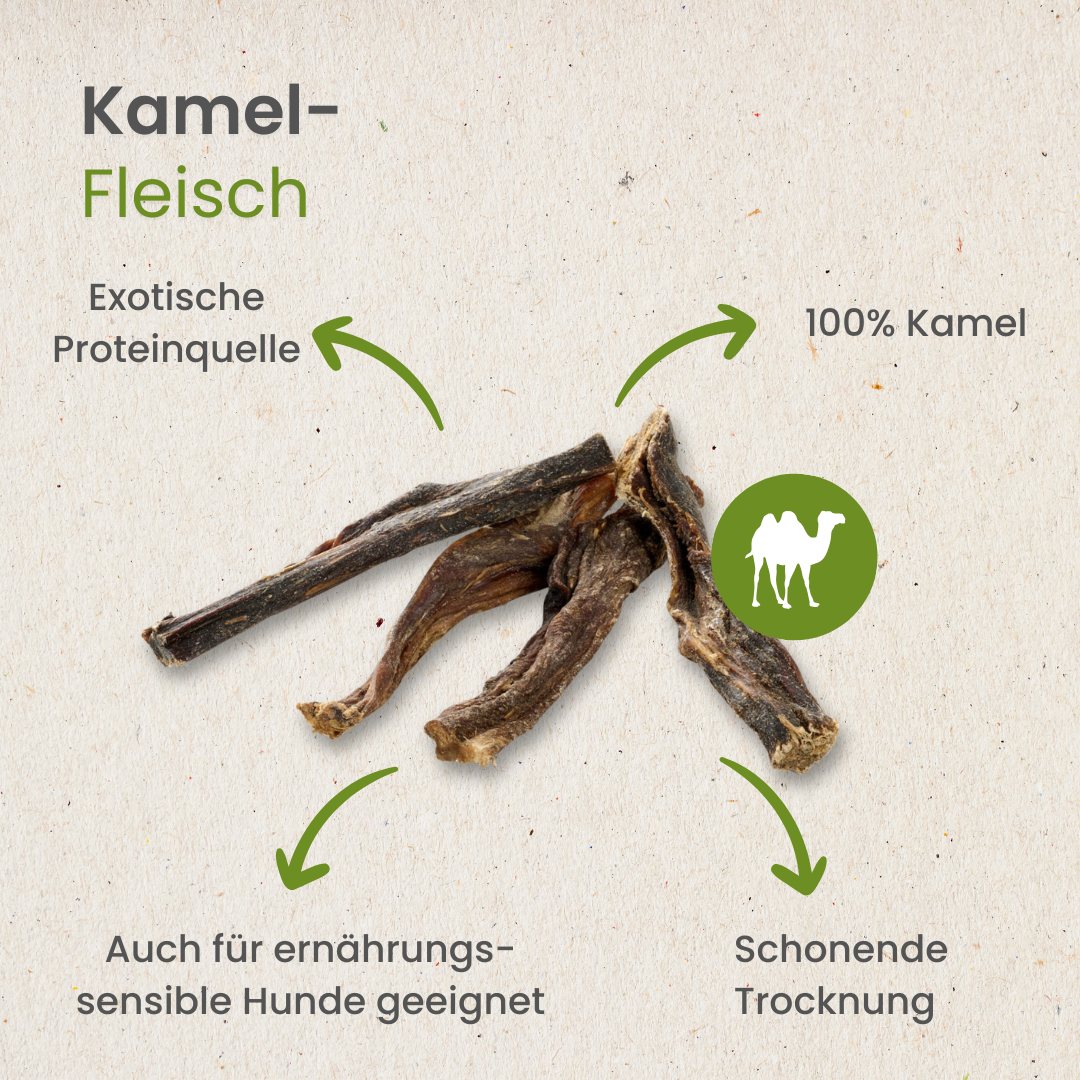 Kamel-Fleisch