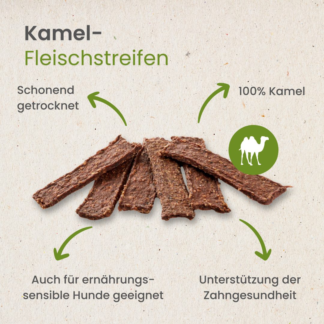 Kamel-Fleischstreifen