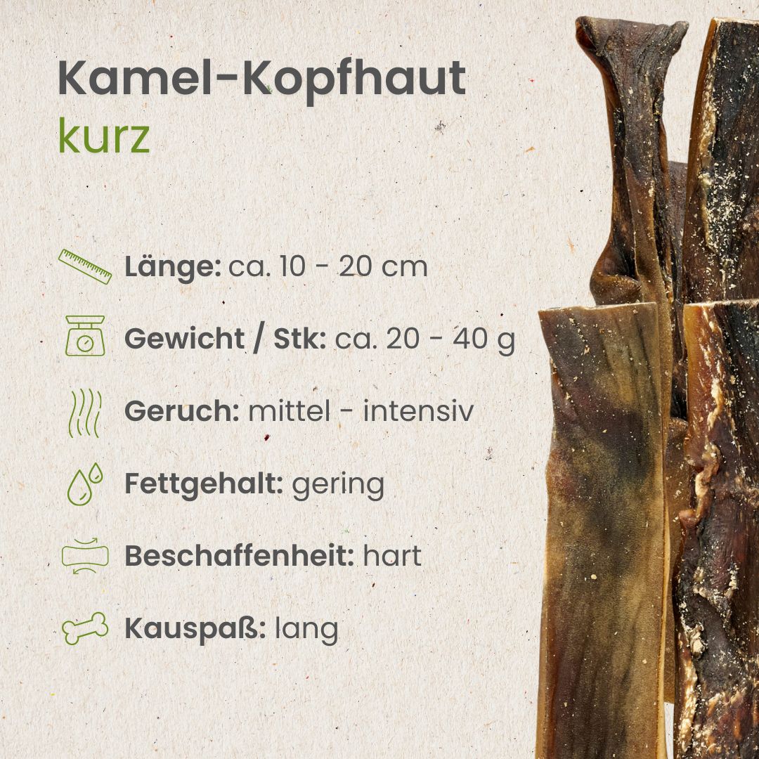 Kamel-Kopfhaut,kurz
