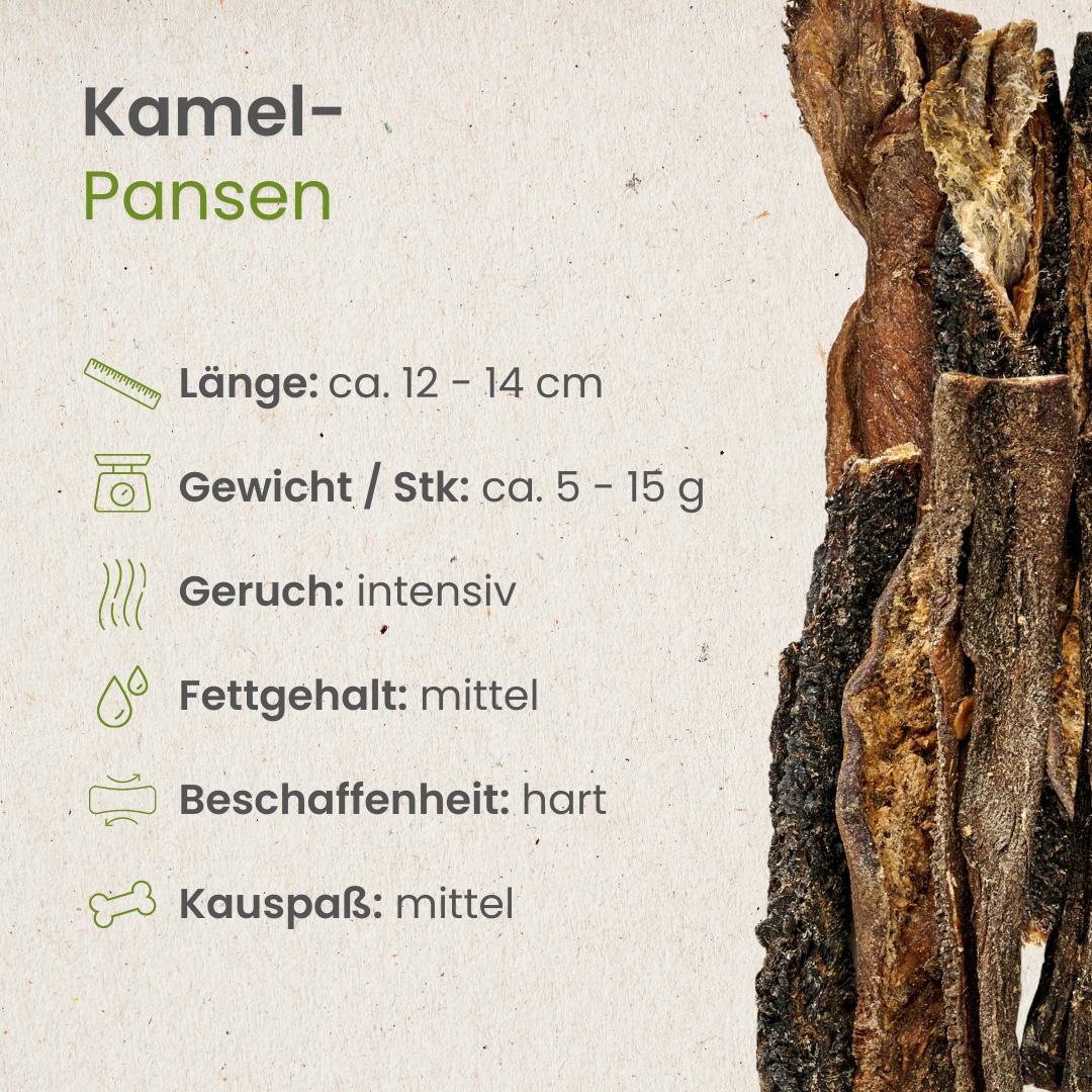 Kamel-Pansen