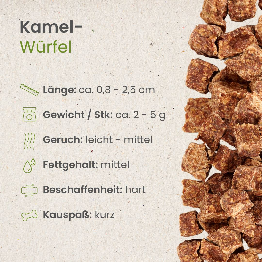 Kamel-Würfel